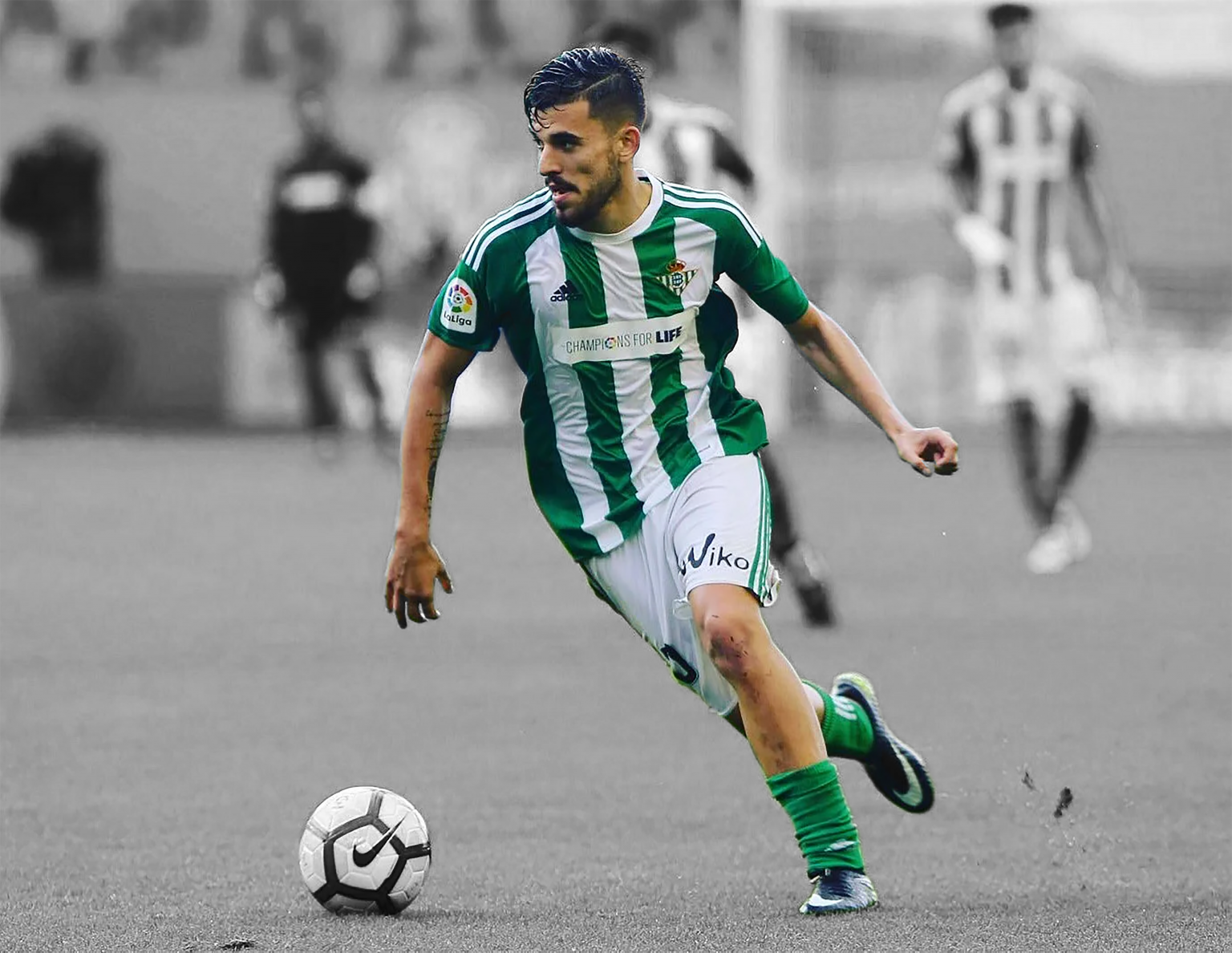 Datos y Estadísticas | Dani Ceballos Oficial